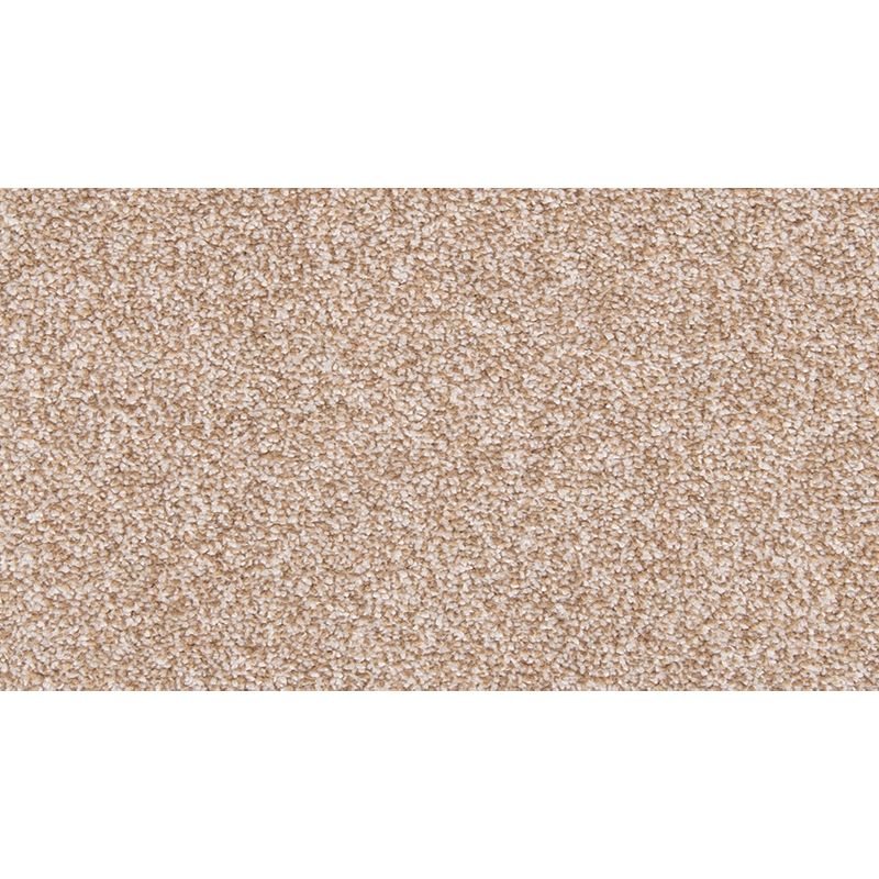 Dynamic Quality I 752 Walnut Sage 45 oz. Polyester Everstrand Texture Indoor Carpet Flooring 12' Feet Wide (9 sf / yd)