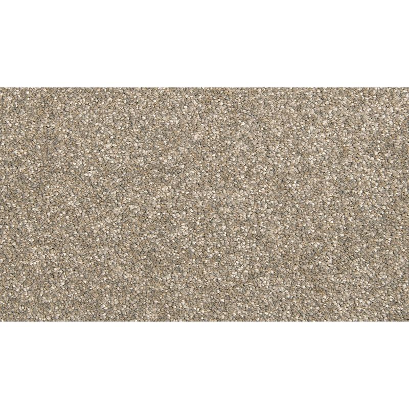 Dynamic Quality I 923 Iron Clad 45 oz. Polyester Everstrand Texture Indoor Carpet Flooring 12' Feet Wide (9 sf / yd)