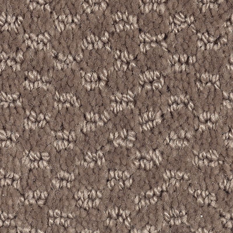 Dynamo 878 Wilder Frontier 25 oz. Polyester Everstrand Pattern Indoor Carpet Flooring 12' Feet Wide (9 sf / yd)