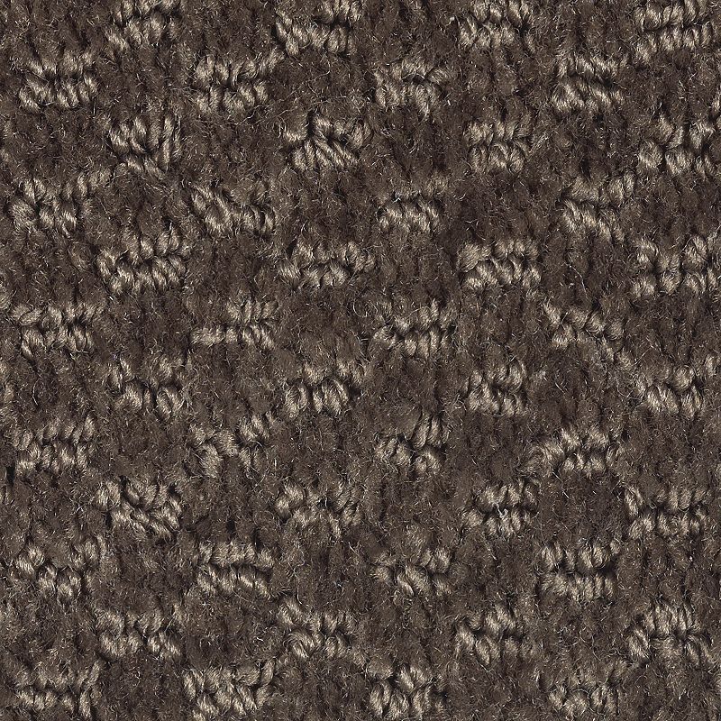 Dynamo 888 Cigar Leaf 25 oz. Polyester Everstrand Pattern Indoor Carpet Flooring 12' Feet Wide (9 sf / yd)