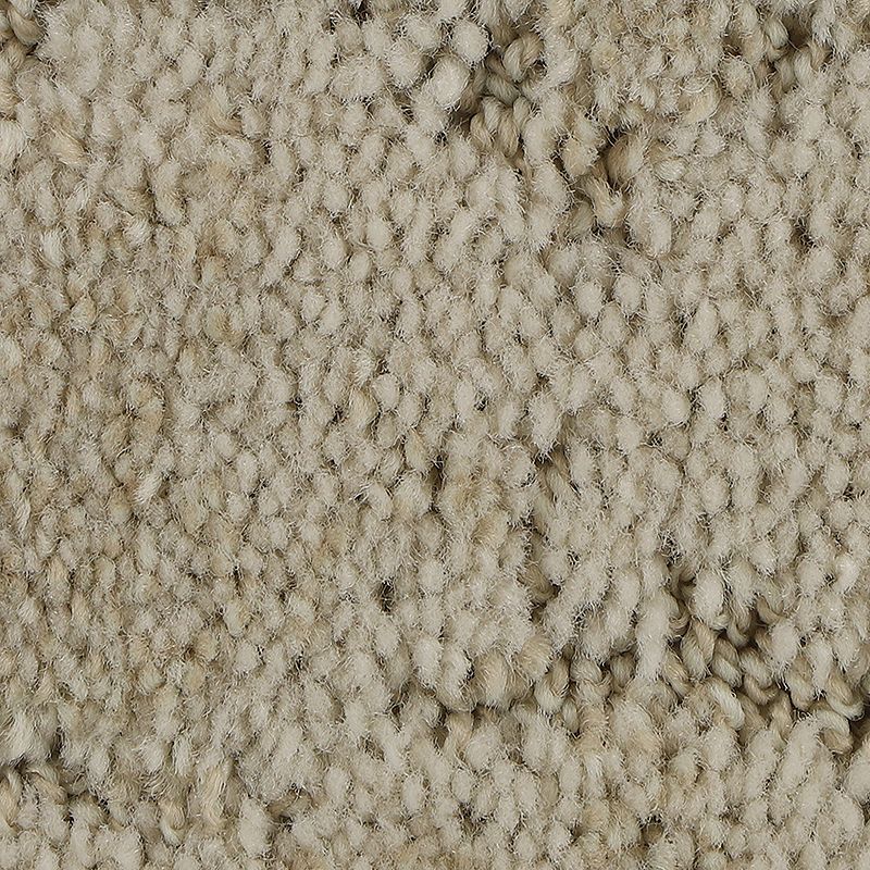 Elaborate Appeal 714 Whirlwind 38 oz. Polyester Everstrand Soft Appeal Pattern Indoor Carpet Flooring 12' Feet Wide (9 sf / yd)
