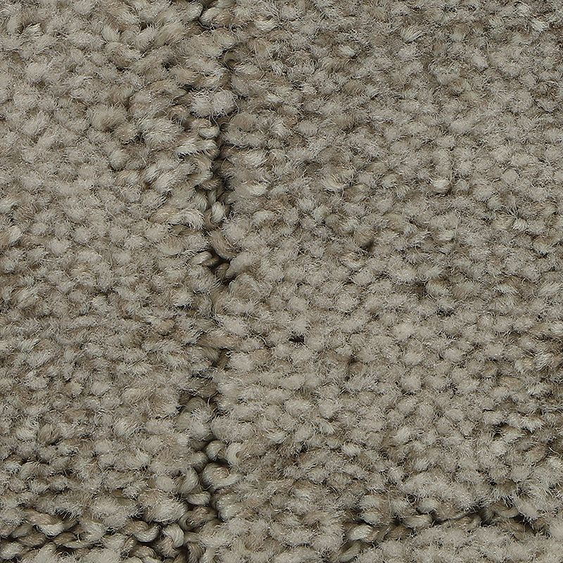 Elaborate Appeal 729 Amarillo 38 oz. Polyester Everstrand Soft Appeal Pattern Indoor Carpet Flooring 12' Feet Wide (9 sf / yd)