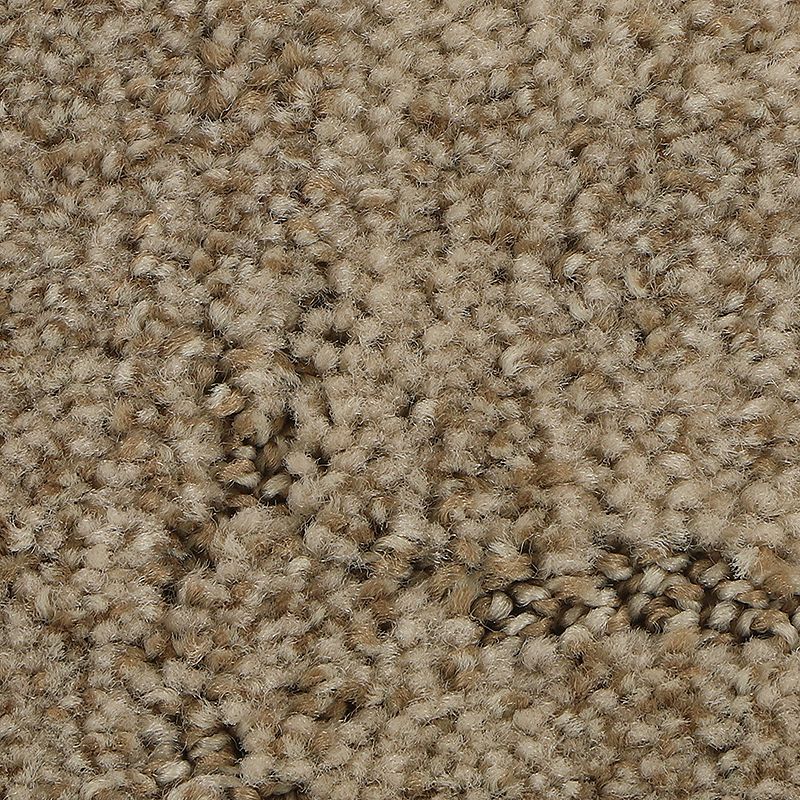 Elaborate Appeal 755 Twine 38 oz. Polyester Everstrand Soft Appeal Pattern Indoor Carpet Flooring 12' Feet Wide (9 sf / yd)