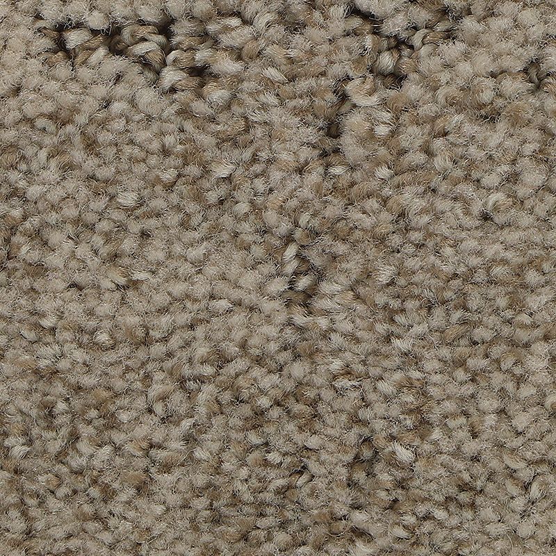 Elaborate Appeal 805 Nomad 38 oz. Polyester Everstrand Soft Appeal Pattern Indoor Carpet Flooring 12' Feet Wide (9 sf / yd)