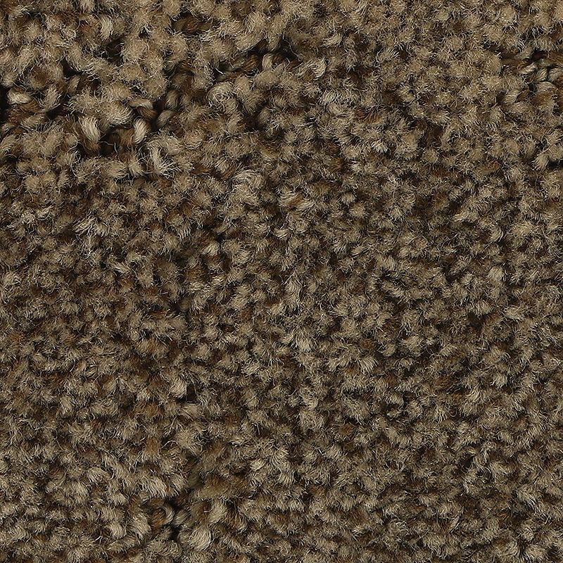 Elaborate Appeal 850 Hoot Owl 38 oz. Polyester Everstrand Soft Appeal Pattern Indoor Carpet Flooring 12' Feet Wide (9 sf / yd)