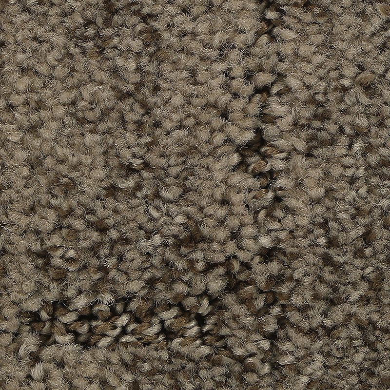 Elaborate Appeal 858 Woodland 38 oz. Polyester Everstrand Soft Appeal Pattern Indoor Carpet Flooring 12' Feet Wide (9 sf / yd)