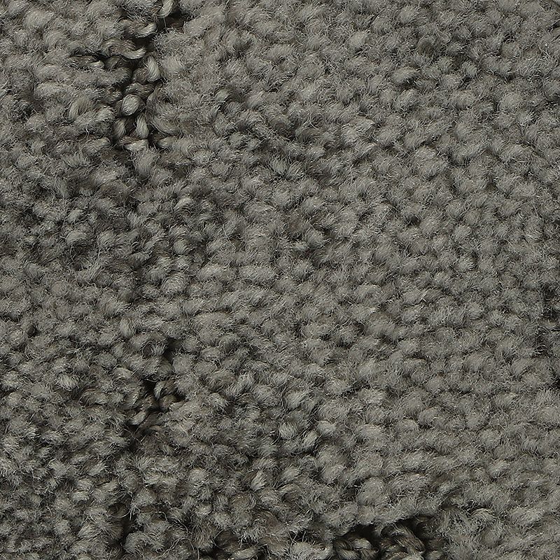 Elaborate Appeal 945 Foil 38 oz. Polyester Everstrand Soft Appeal Pattern Indoor Carpet Flooring 12' Feet Wide (9 sf / yd)