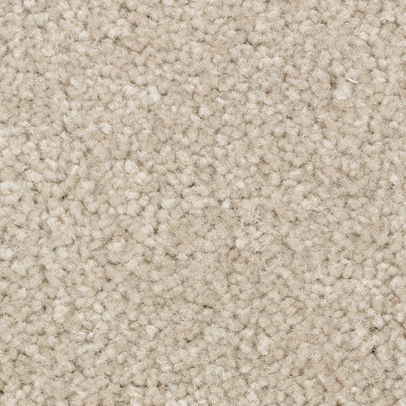 Elegant Appeal I 738 Manor Stone 50 oz. Polyester Everstrand Texture Indoor Carpet Flooring 12' Feet Wide (9 sf / yd)