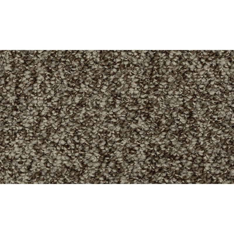 Enduring Amazement 869 Garden Bramble 28 oz. Polyester Everstrand Loop Indoor Carpet Flooring 12' Feet Wide (9 sf / yd)