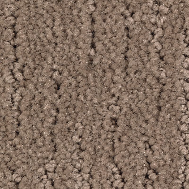 Enduring Idea 822 Natural Grain 32 oz. Triexta Smartstrand Pattern Indoor Carpet Flooring 12' Feet Wide (9 sf / yd)