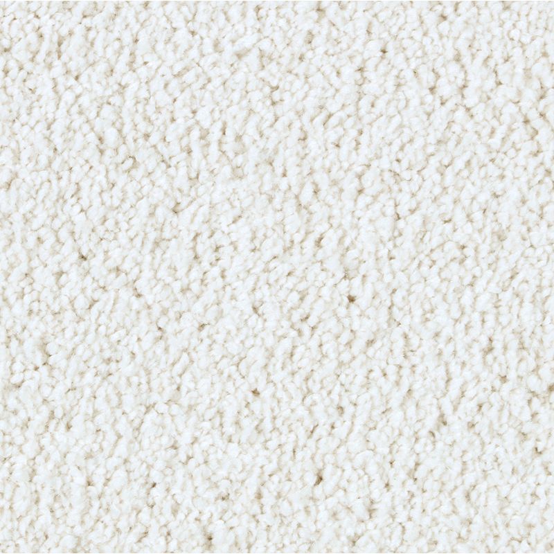 Exquisite Beauty 510 Luxury 48 oz. Triexta Smartstrand Silk Texture Indoor Carpet Flooring 12' Feet Wide (9 sf / yd)