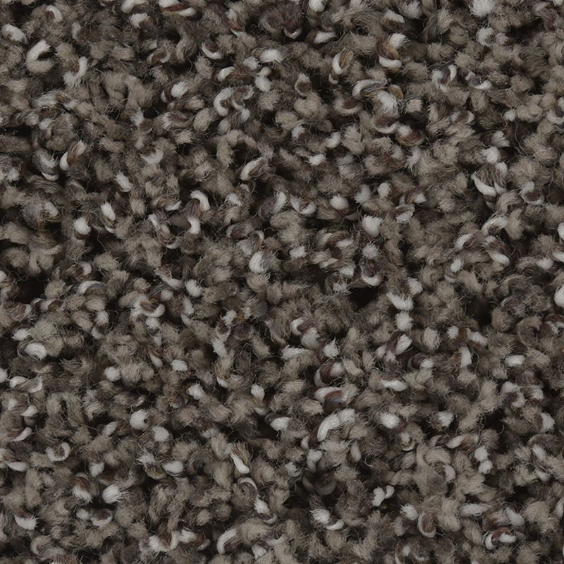 Exquisite Character 510 Weathered Slate 56 oz. Triexta Smartstrand Silk Texture Indoor Carpet Flooring 12' Feet Wide (9 sf / yd)