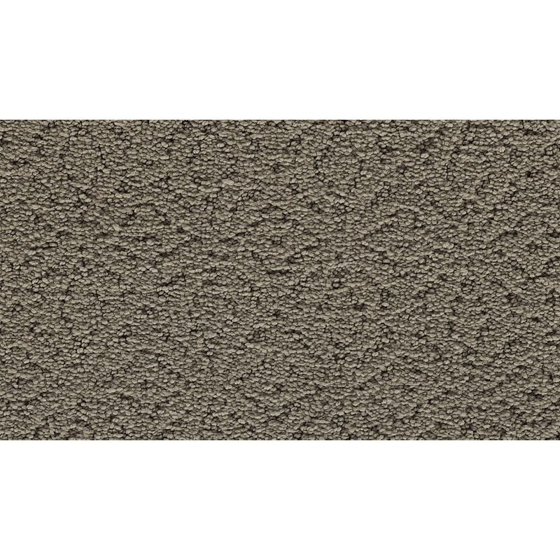 Exquisite Charm 508 Moonlit Grey 41 oz. Triexta Smartstrand Silk Pattern Indoor Carpet Flooring 12' Feet Wide (9 sf / yd)