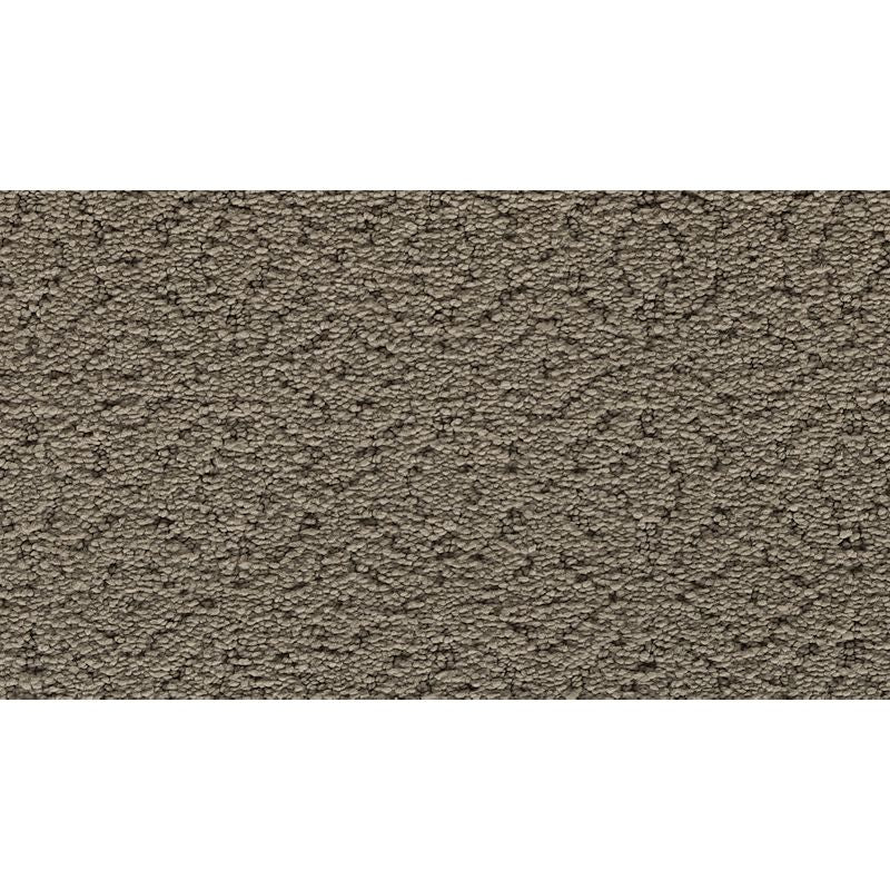Exquisite Charm 510 Ancient Oaks 41 oz. Triexta Smartstrand Silk Pattern Indoor Carpet Flooring 12' Feet Wide (9 sf / yd)