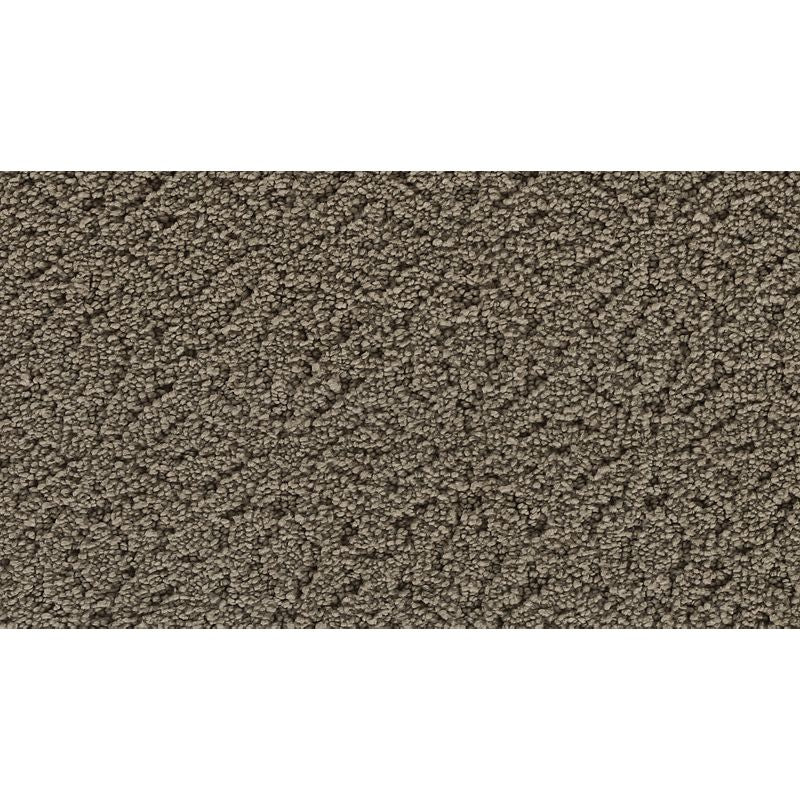 Exquisite Charm 517 Cathedral 41 oz. Triexta Smartstrand Silk Pattern Indoor Carpet Flooring 12' Feet Wide (9 sf / yd)