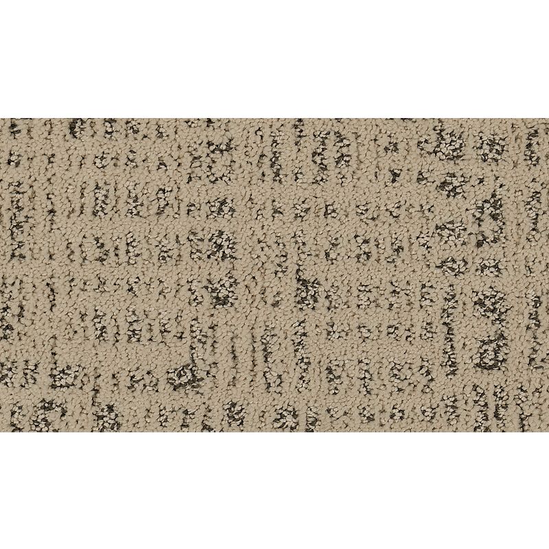 Exquisite Portrait 505 Stormy Frost 45 oz. Triexta Smartstrand Silk Pattern Indoor Carpet Flooring 12' Feet Wide (9 sf / yd)