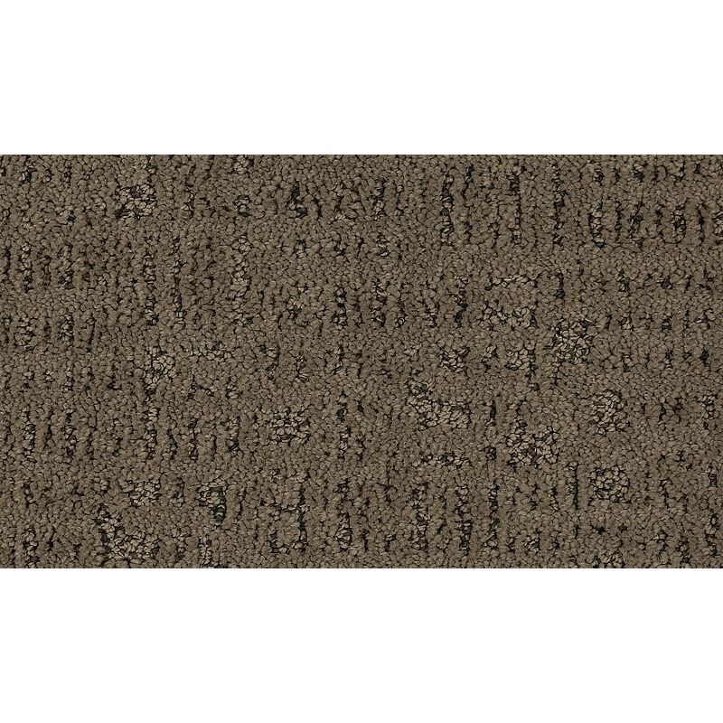 Exquisite Portrait 522 Filtered Smoke 45 oz. Triexta Smartstrand Silk Pattern Indoor Carpet Flooring 12' Feet Wide (9 sf / yd)