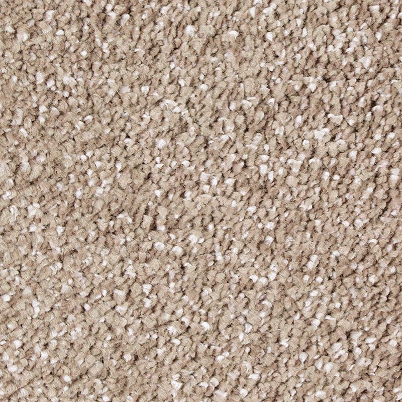 Exquisite Tones 529 Plantation 60 oz. Triexta Smartstrand Silk Texture Indoor Carpet Flooring 12' Feet Wide (9 sf / yd)