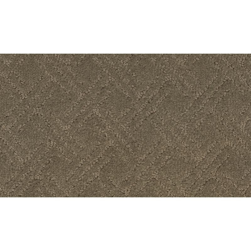 Exquisite Touch 522 Otter 41 oz. Triexta Smartstrand Silk Pattern Indoor Carpet Flooring 12' Feet Wide (9 sf / yd)