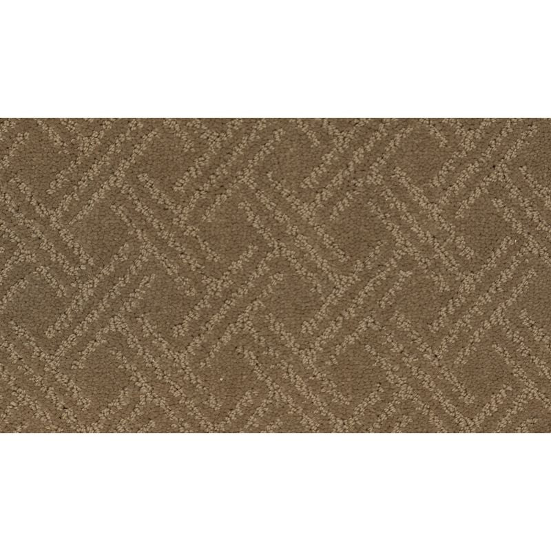 Exquisite Touch 524 Clay Trail 41 oz. Triexta Smartstrand Silk Pattern Indoor Carpet Flooring 12' Feet Wide (9 sf / yd)