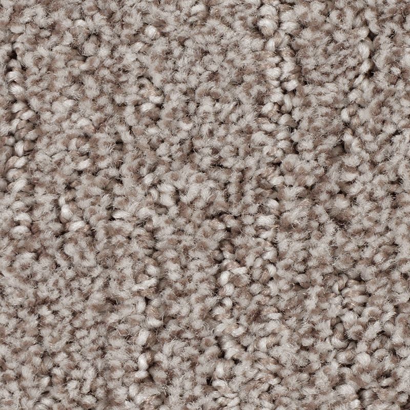 Flawless Reputation 523 Harvest Home 40 oz. Triexta Smartstrand Pattern Indoor Carpet Flooring 12' Feet Wide (9 sf / yd)