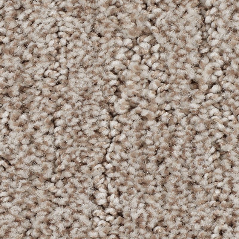 Flawless Reputation 524 Horse's Mane 40 oz. Triexta Smartstrand Pattern Indoor Carpet Flooring 12' Feet Wide (9 sf / yd)