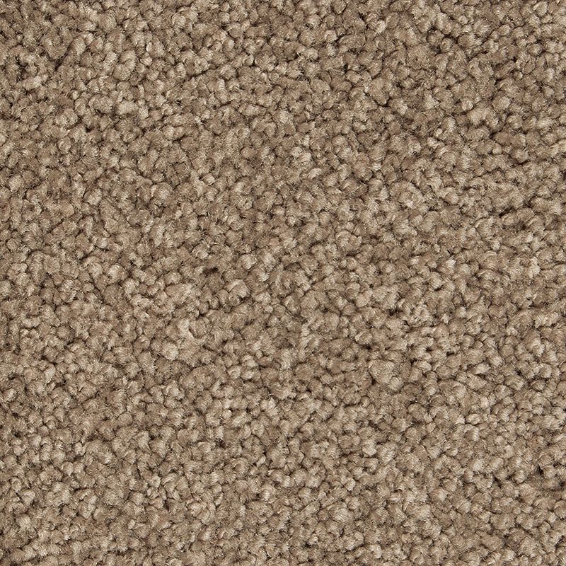 Gentle Approach 537 Woodland 60 oz. Triexta Smartstrand Silk Texture Indoor Carpet Flooring 12' Feet Wide (9 sf / yd)