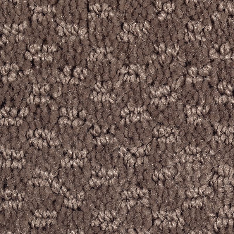 Graceful Manner 505 Sequoia 32 oz. Triexta Smartstrand Pattern Indoor Carpet Flooring 12' Feet Wide (9 sf / yd)