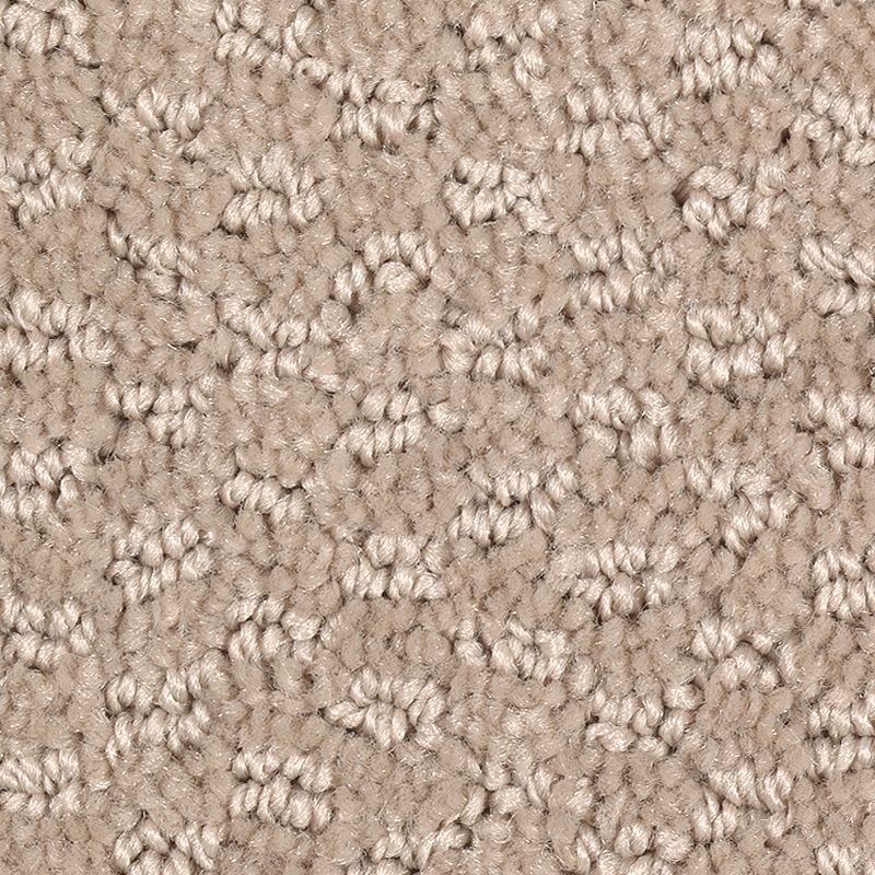 Graceful Manner 515 Biscotti 32 oz. Triexta Smartstrand Pattern Indoor Carpet Flooring 12' Feet Wide (9 sf / yd)