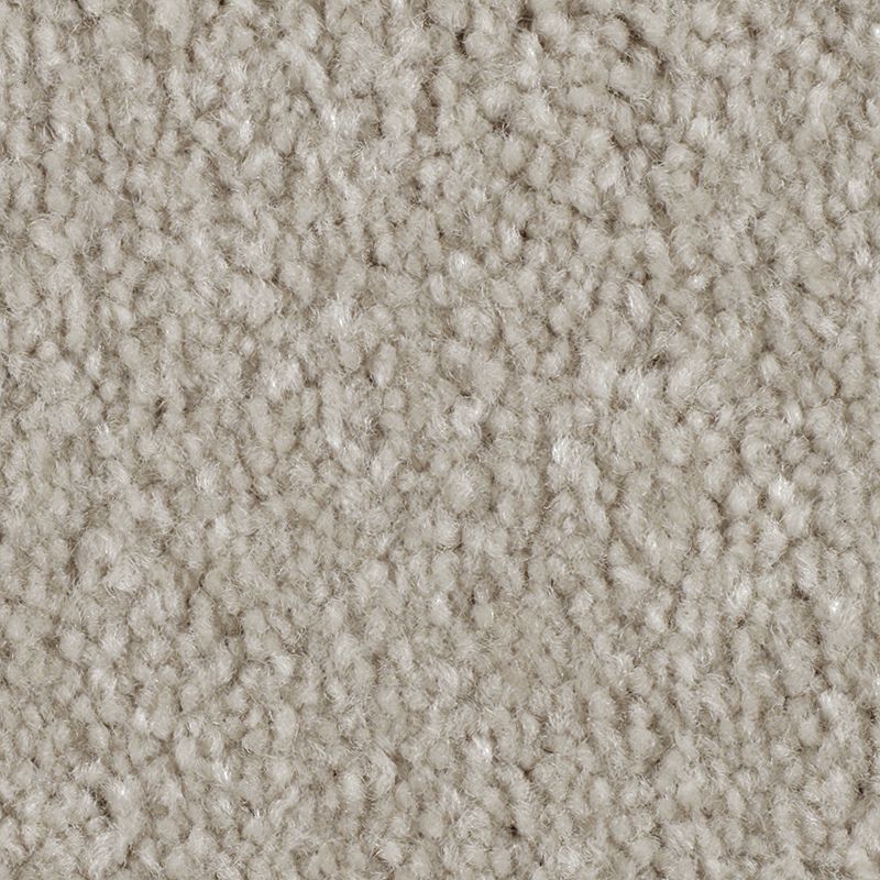 Homefront II 746 Quiet Eloquence 48 oz. Triexta Smartstrand Texture Indoor Carpet Flooring 12' Feet Wide (9 sf / yd)