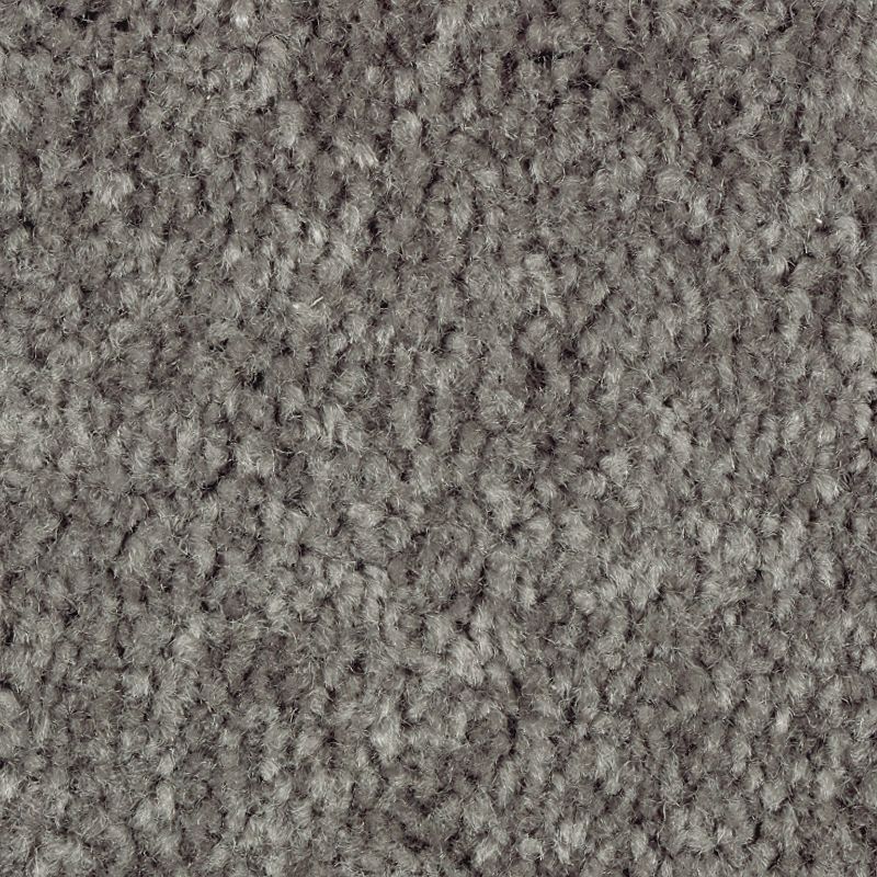 Homefront I 980 British Fog 38 oz. Triexta Smartstrand Texture Indoor Carpet Flooring 12' Feet Wide (9 sf / yd)