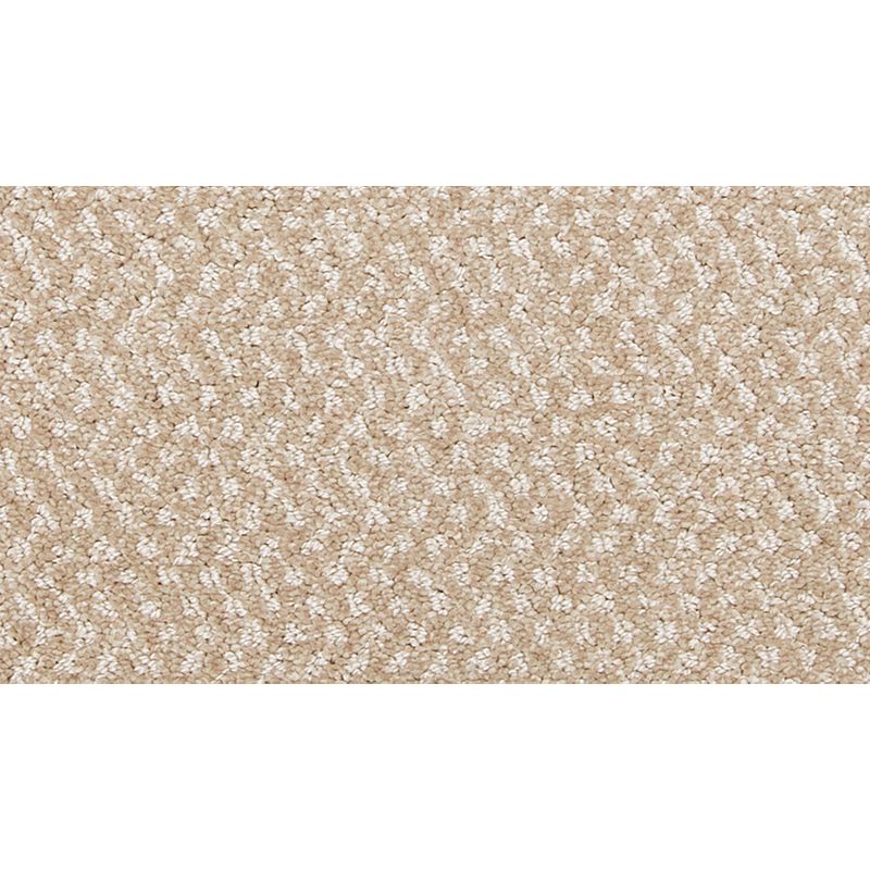 Hometown Charm 731 Antiques 34 oz. Polyester Everstrand Pattern Indoor Carpet Flooring 12' Feet Wide (9 sf / yd)