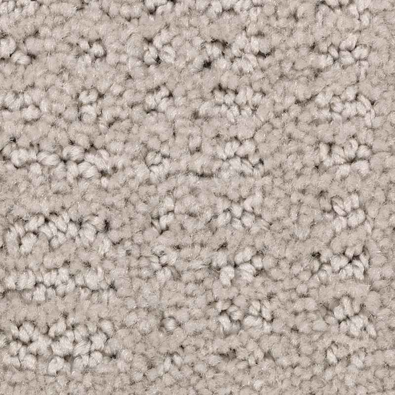 Industrial Elegance 503 Requisite 32 oz. Triexta Smartstrand Pattern Indoor Carpet Flooring 12' Feet Wide (9 sf / yd)