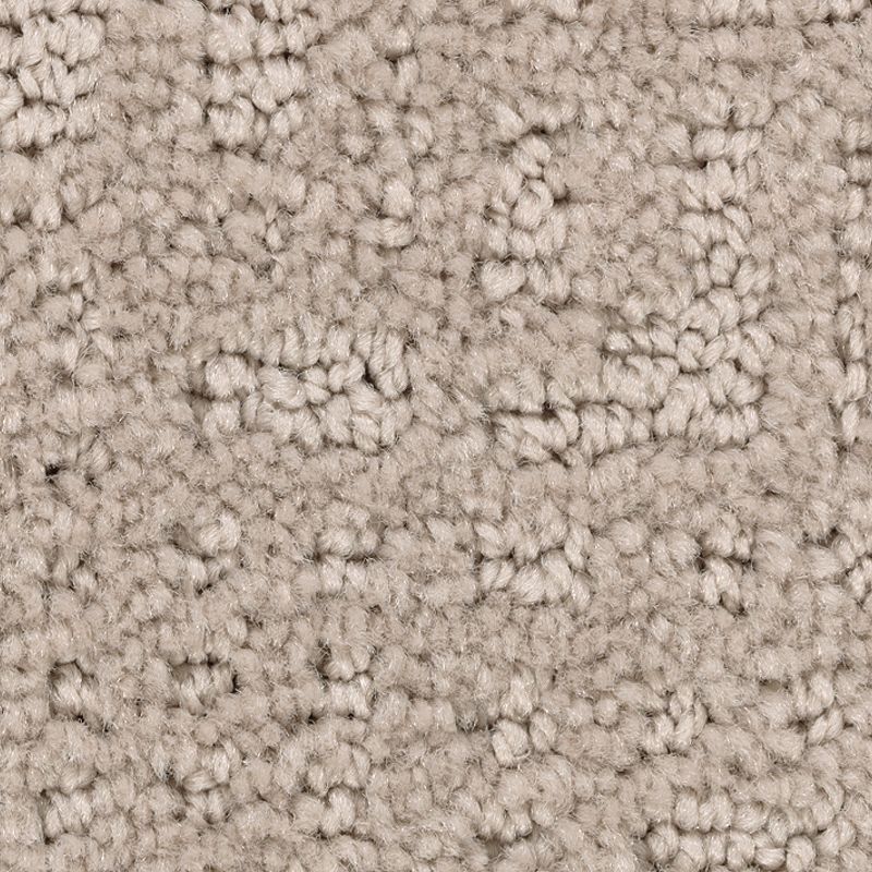 Industrial Elegance 510 Treasure 32 oz. Triexta Smartstrand Pattern Indoor Carpet Flooring 12' Feet Wide (9 sf / yd)