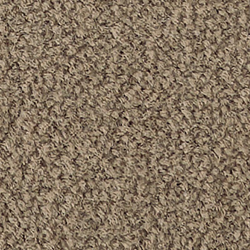 Influencer 30 858 Rustic Stone 30 oz. Nylon ColorStrand ND Indoor Texture Broadloom Carpet Flooring 12' Feet Wide (9 sf / yd)