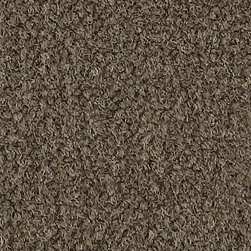 Influencer 30 879 Warm Ashes 30 oz. Nylon ColorStrand ND Indoor Texture Broadloom Carpet Flooring 12' Feet Wide (9 sf / yd)