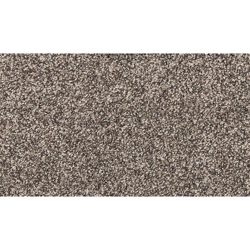 Lush Details 829 Enchanting 58 oz. Triexta Smartstrand Silk Texture Indoor Carpet Flooring 12' Feet Wide (9 sf / yd)