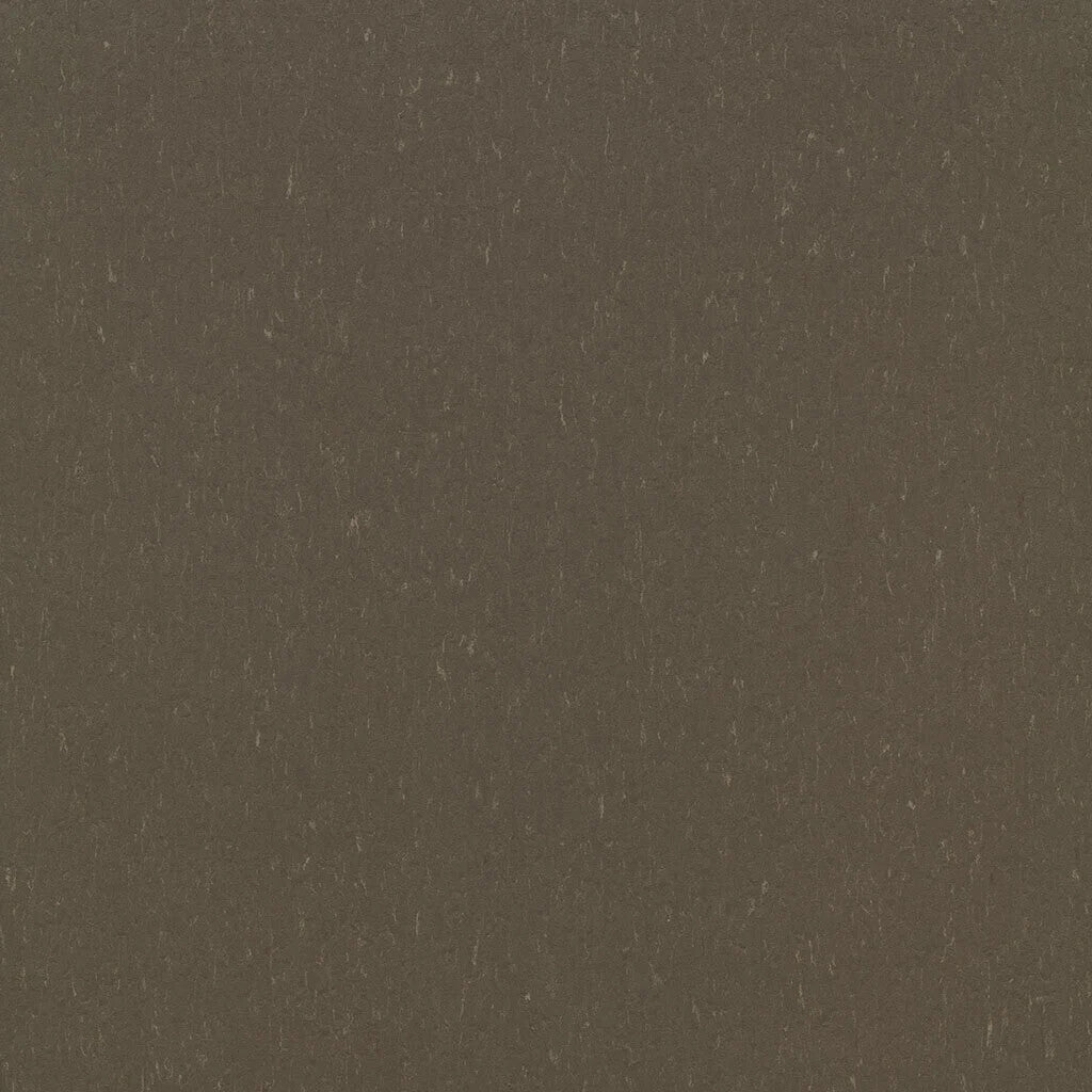 3657 Forbo Marmoleum MCT 3657 Hazelnut – Flamingo's Flooring