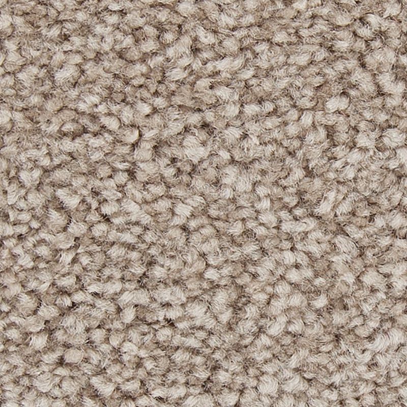 Memorable View 536 Mushroom Cap 70 oz. Triexta Smartstrand Texture Indoor Carpet Flooring 12' Feet Wide (9 sf / yd)