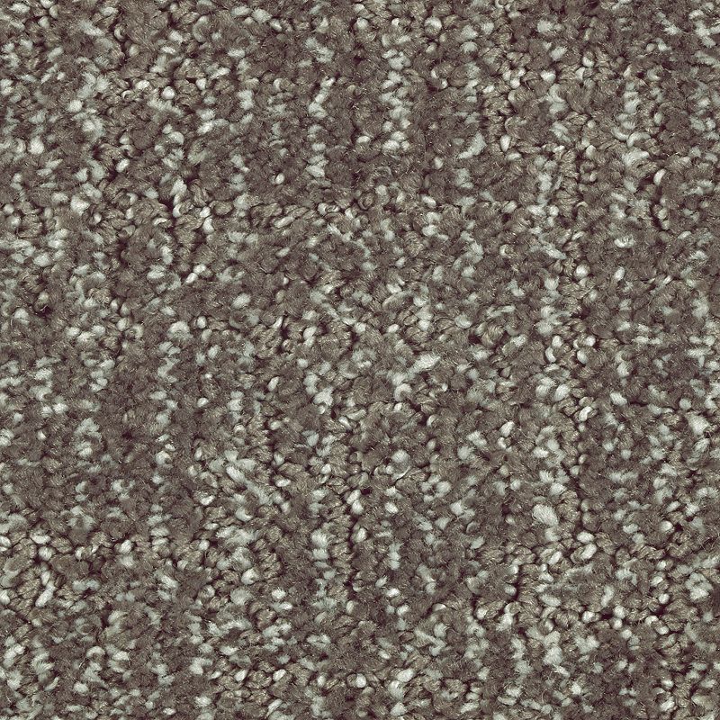 Natural Artistry 532 Wrought Iron 46 oz. Triexta Smartstrand Silk Pattern Indoor Carpet Flooring 12' Feet Wide (9 sf / yd)