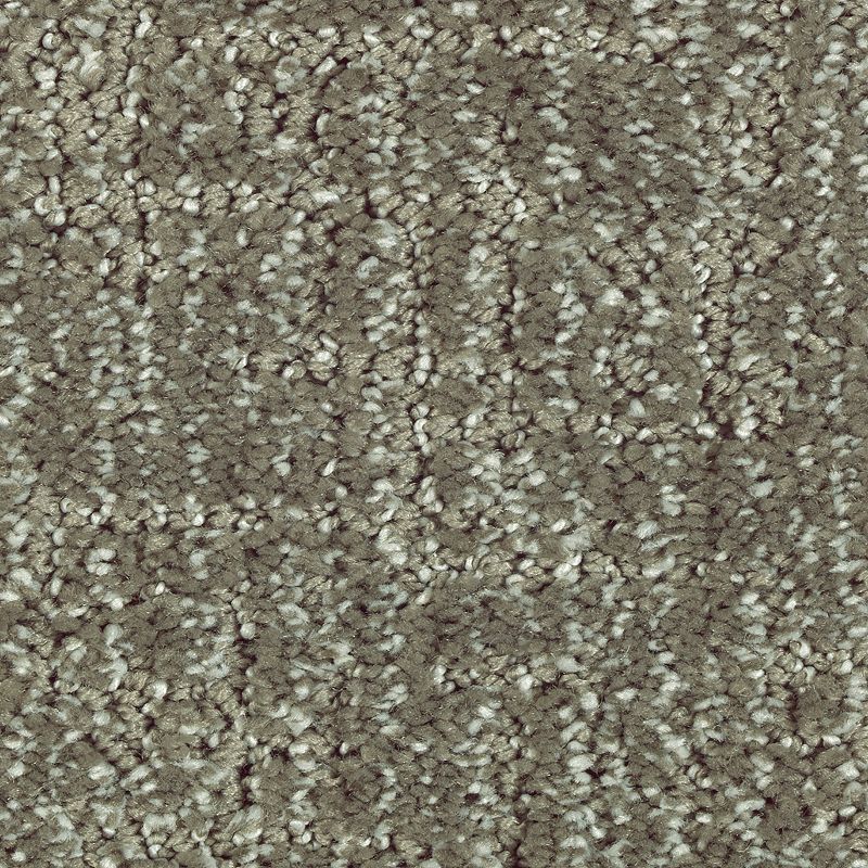 Natural Artistry 540 Pine Needle 46 oz. Triexta Smartstrand Silk Pattern Indoor Carpet Flooring 12' Feet Wide (9 sf / yd)