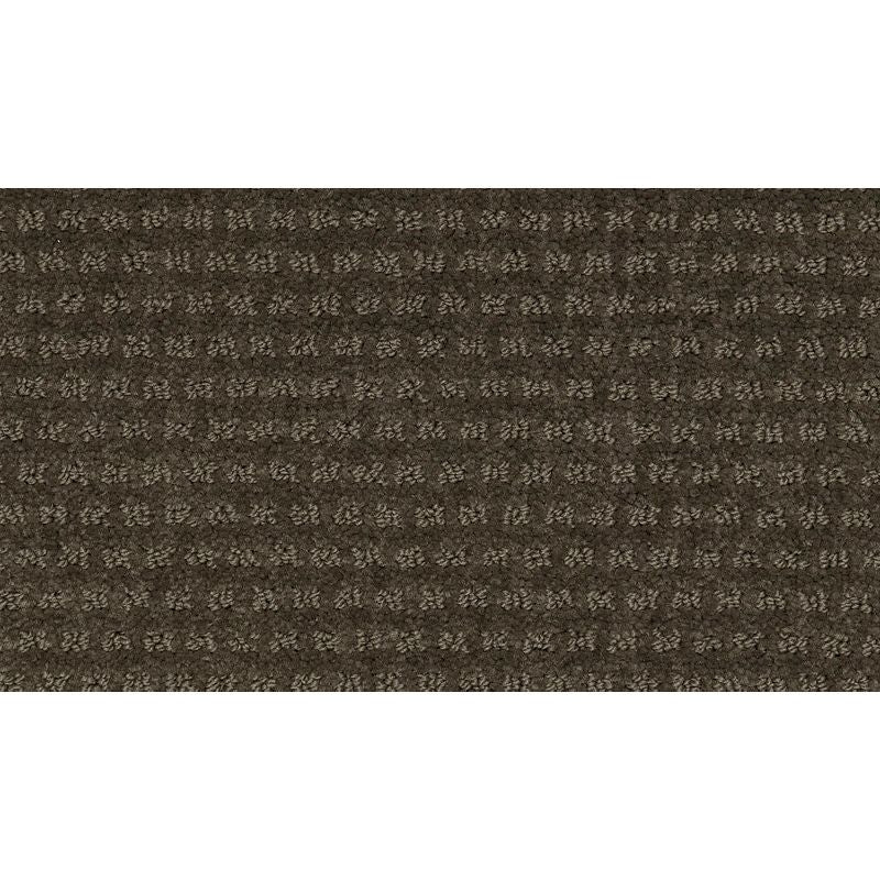 Natural Intuition 501 Mineral Brown 32 oz. Triexta Smartstrand Pattern Indoor Carpet Flooring 12' Feet Wide (9 sf / yd)
