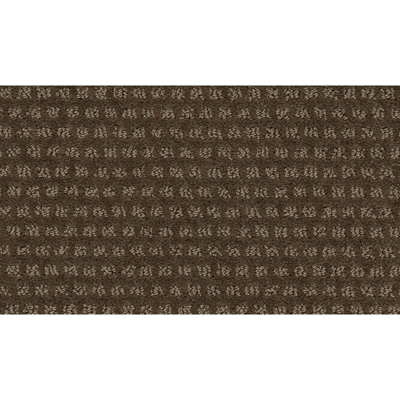 Natural Intuition 511 Cat-Tail 32 oz. Triexta Smartstrand Pattern Indoor Carpet Flooring 12' Feet Wide (9 sf / yd)