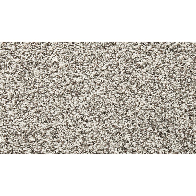 Natural Opulence II 700 Almost White 52 oz. Triexta Smartstrand Silk Texture Indoor Carpet Flooring 12' Feet Wide (9 sf / yd)