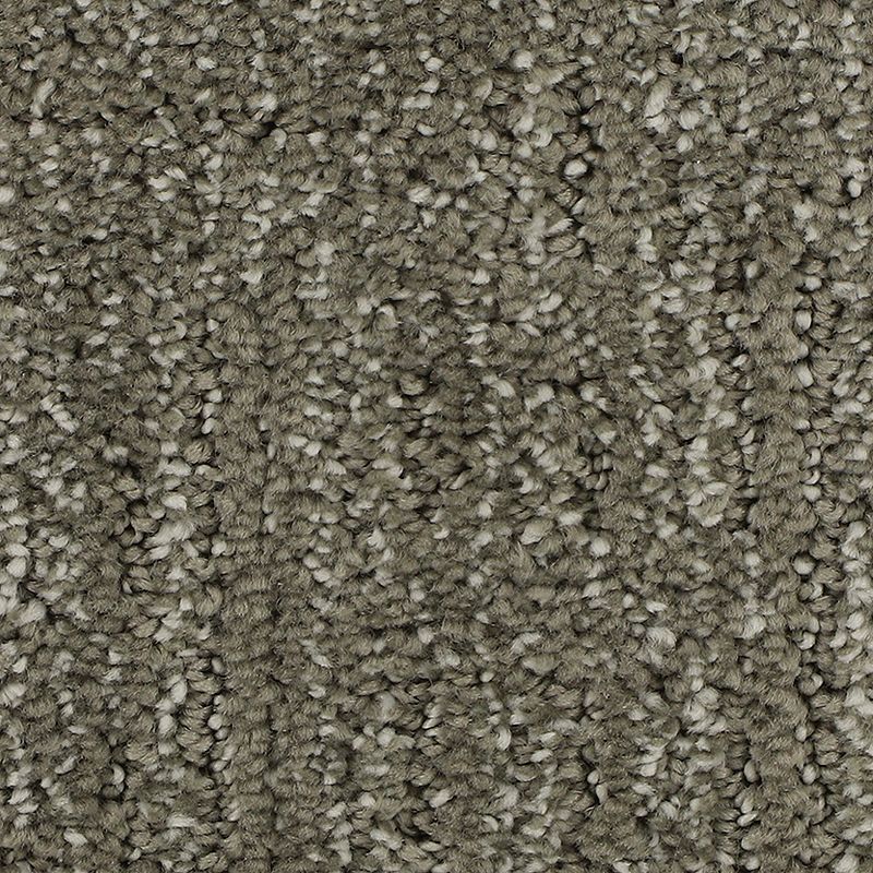 Natural Texture 840 Jasper 46 oz. Triexta Smartstrand Silk Pattern Indoor Carpet Flooring 12' Feet Wide (9 sf / yd)