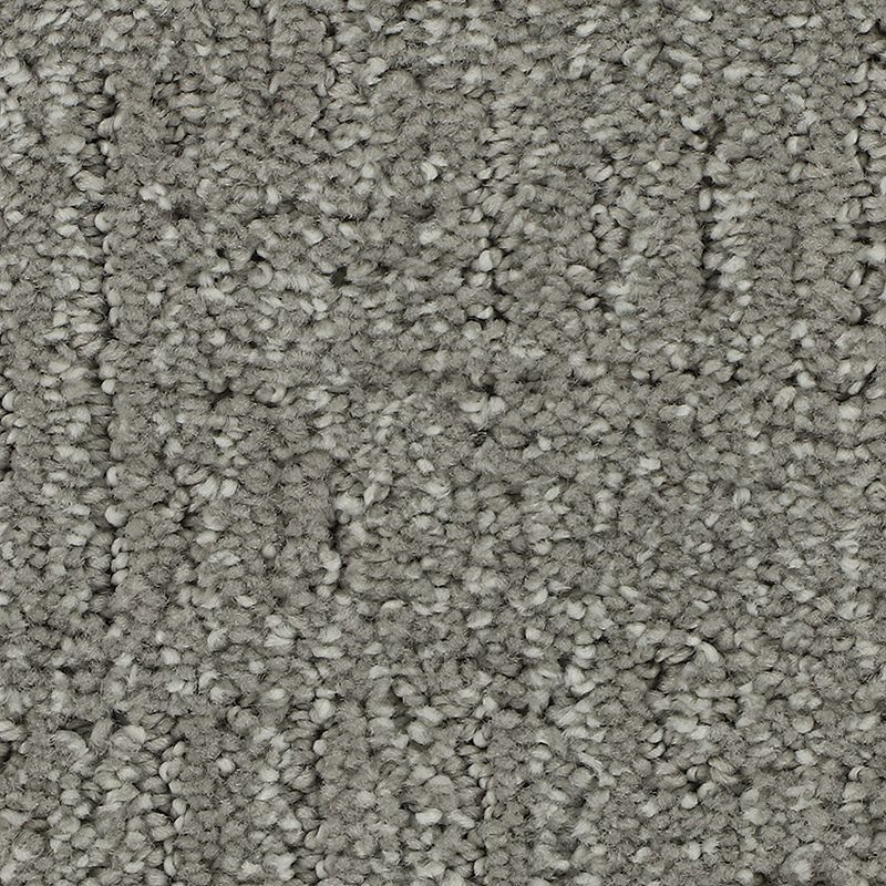 Natural Texture 940 Misty Isle 46 oz. Triexta Smartstrand Silk Pattern Indoor Carpet Flooring 12' Feet Wide (9 sf / yd)