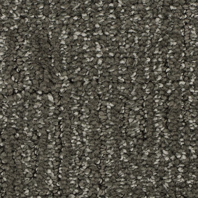 Natural Texture 984 Cathedral 46 oz. Triexta Smartstrand Silk Pattern Indoor Carpet Flooring 12' Feet Wide (9 sf / yd)