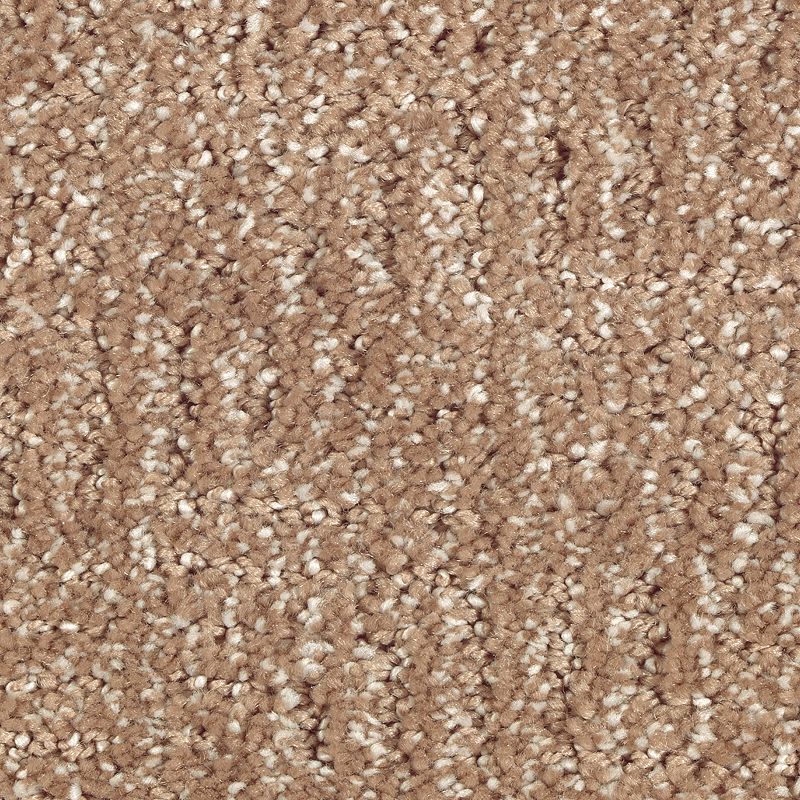 Natural Treasure 508 Cat-Tail 46 oz. Triexta Smartstrand Silk Pattern Indoor Carpet Flooring 12' Feet Wide (9 sf / yd)
