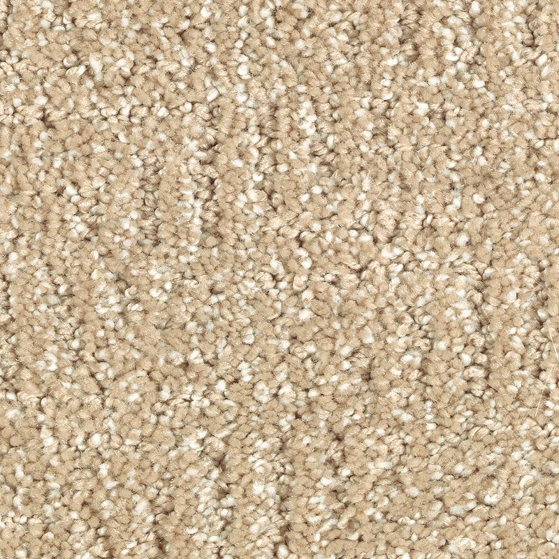 Natural Treasure 514 Toasted Bagel 46 oz. Triexta Smartstrand Silk Pattern Indoor Carpet Flooring 12' Feet Wide (9 sf / yd)