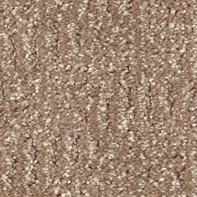 Natural Treasure 520 Pine Cone 46 oz. Triexta Smartstrand Silk Pattern Indoor Carpet Flooring 12' Feet Wide (9 sf / yd)